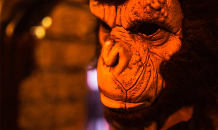 Lieu atypique pour shooting / décors pour cinéma / lieu insolite pour pot de départ  / lieu original pour after work 99 €