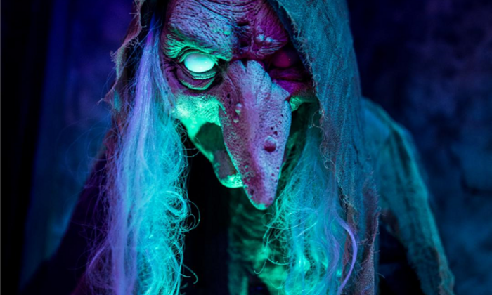 Lieu atypique pour shooting / décors pour cinéma / lieu insolite pour pot de départ  / lieu original pour after work 99 €