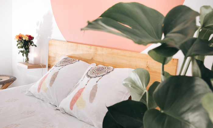 Location Surf House pour événement privé 30 €