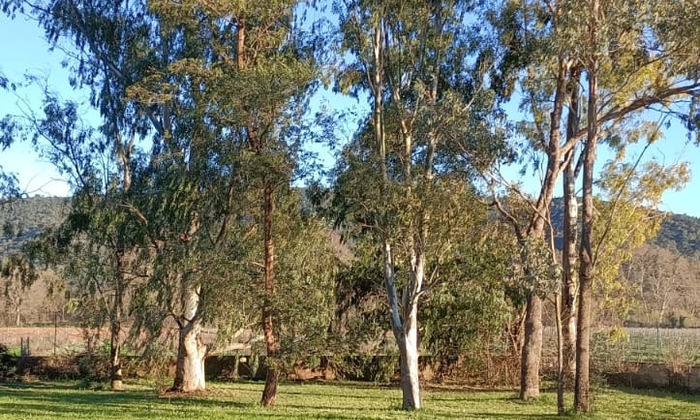 The Gardens of the Domaine de la Mayonnette €60