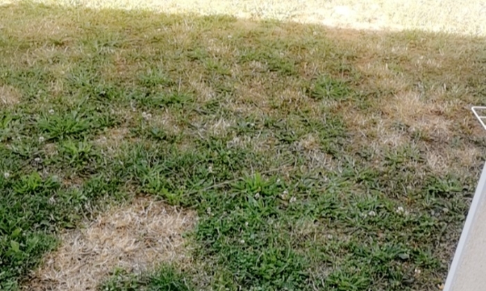 Large garden rental 200 M2 and or lounge €80