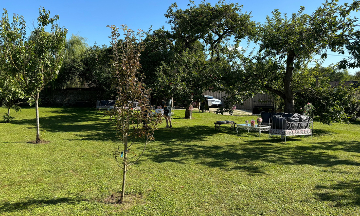Verger de 1000 m2 entre campagne et forêt 25 €
