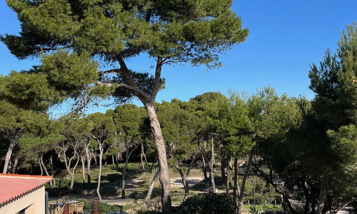 Espace événement 250 €