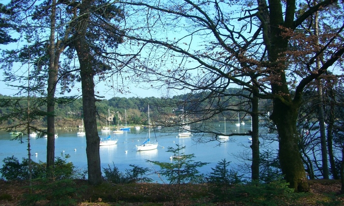 Superbe propriété dans le Golf du Morbihan 35 €