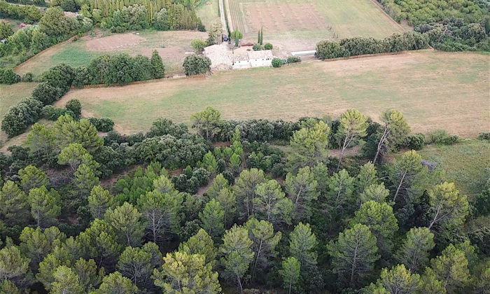 Propriété Mariage St-Rémy-de-Provence - Alpilles 120 €