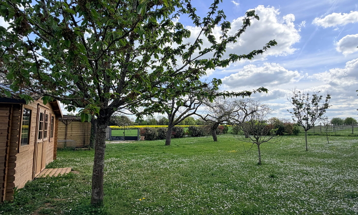 Verger de 1000 m2 entre campagne et forêt 25 €