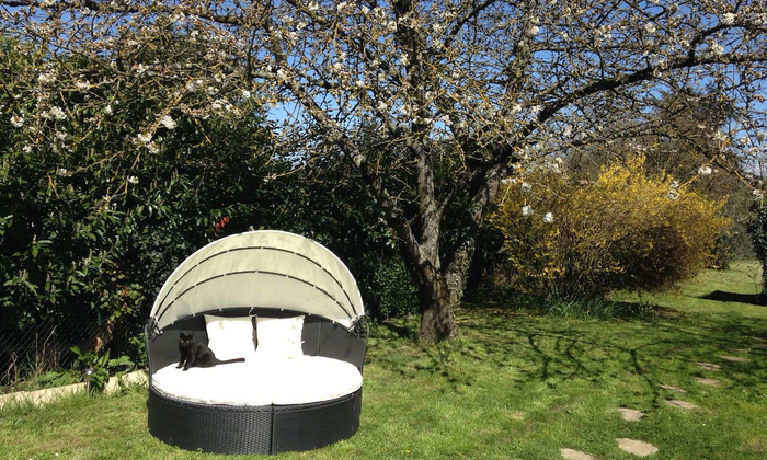 Large garden of 1000m2 25 km from Paris, for 35 people, BBQ and games €50