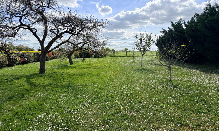 Verger de 1000 m2 entre campagne et forêt 25 €