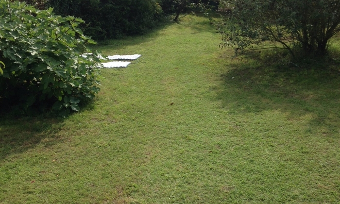 Large garden of 1000m2 25 km from Paris, for 35 people, BBQ and games €50