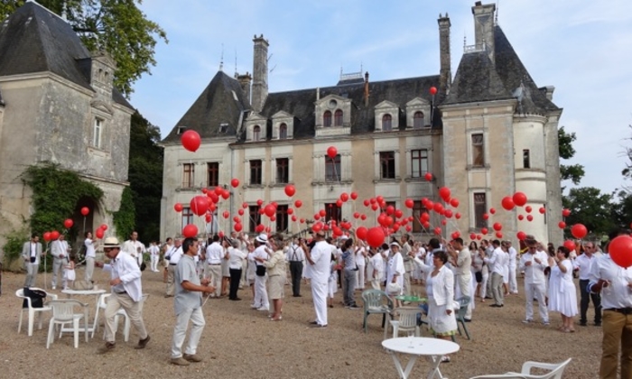 Château de la Mézière 45 €