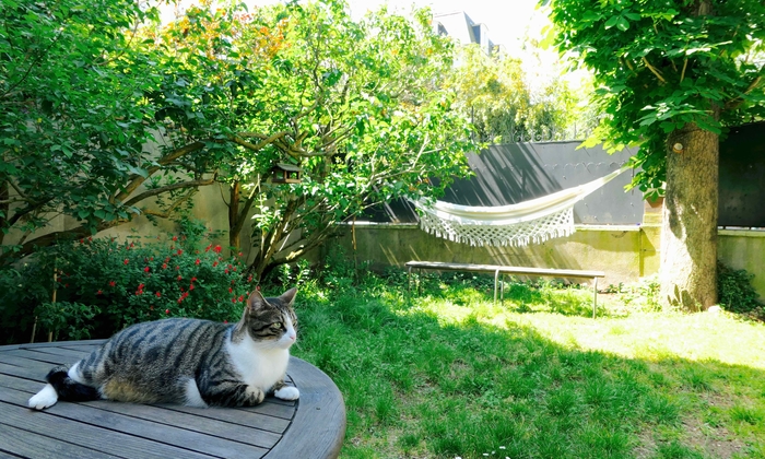 Bourgeois house 200m from Paris €80