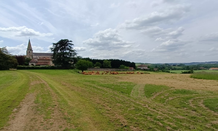 Château de la Brulonnière 5 €