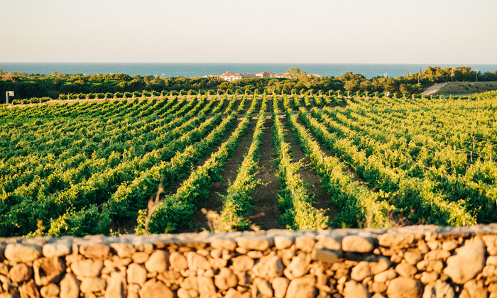 Pergola Château Valmy €280