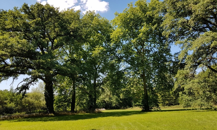 Château de la Rose - Location salles de réception Indre (36) à 1h de Bourges, Limoges, 2h30 de Paris 70 €