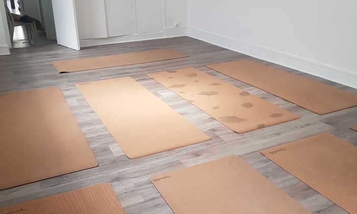 Studio room for yoga or photo in Paris €50