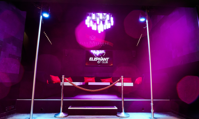 ELEPHANT CLUB 600 €