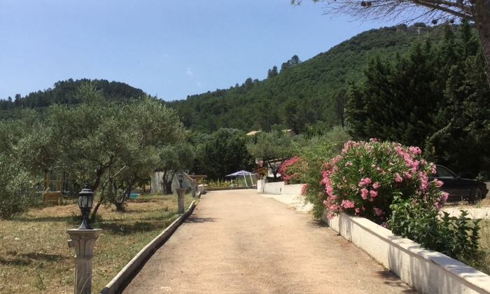 Domaine tout événement piscine karaoké 100 €