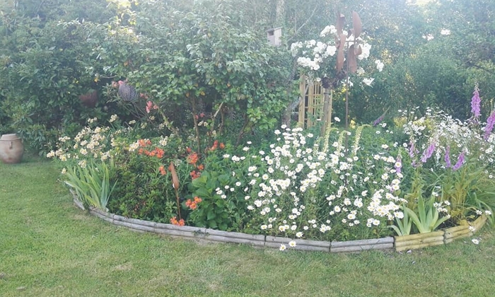 Notre merveilleux jardin dans le bocage vous attend pour fêtes, événements, repos €10