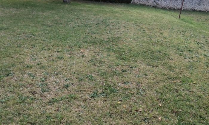 I rent my Garden of 1000 m2 €50