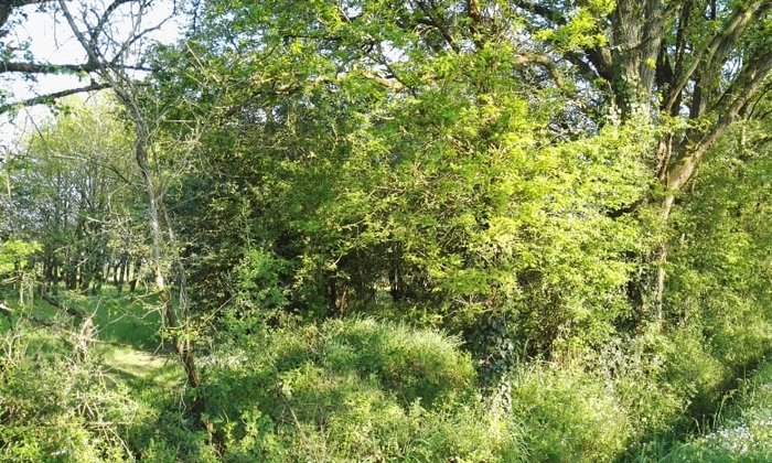 Notre merveilleux jardin dans le bocage vous attend pour fêtes, événements, repos €10