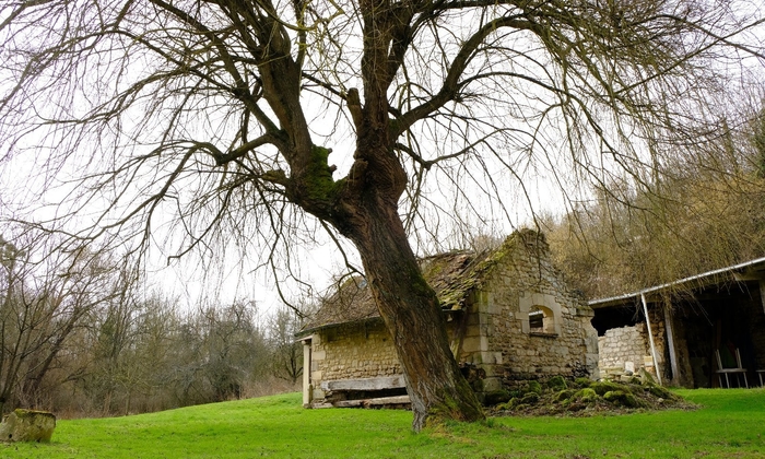 Moulin XII ème Val d'Oise 180 €