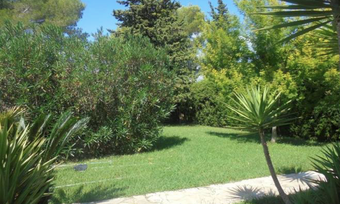 Villa - Garden in Cannes - 3,500m2 €375