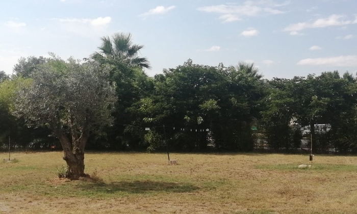 Your Large Private Park for Unforgettable Events at Mas de Mania! €2