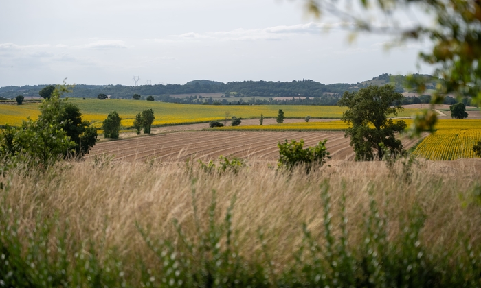 Grande maison de campagne rénovée proche de Revel 100 €