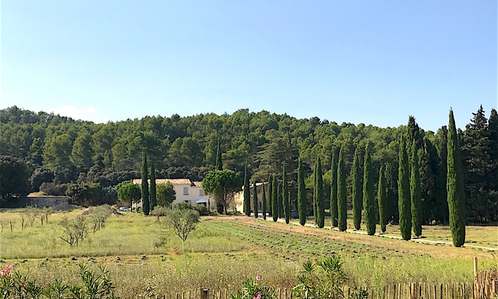 Propriété Mariage St-Rémy-de-Provence - Alpilles 120 €