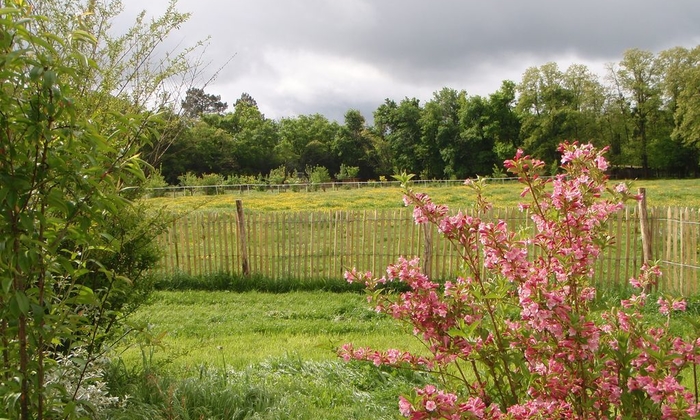 Maison de famille dans propriété forestière 38 €