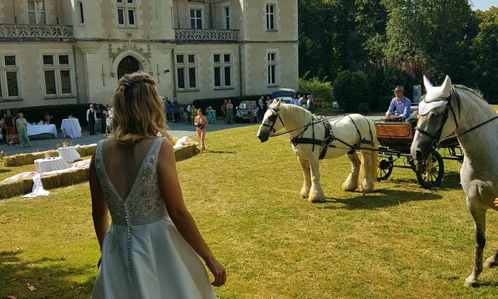 Château de la Rose - Location salles de réception Indre (36) à 1h de Bourges, Limoges, 2h30 de Paris 70 €