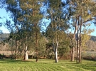 The Gardens of the Domaine de la Mayonnette €60