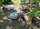 The Gardens of the Domaine de la Mayonnette €60