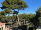 Espace événement 250 €