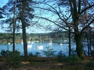 Stunning property in the Morbihan Golf €35