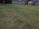 I rent my Garden of 1000 m2 €50