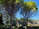 Domaine Laurade €150