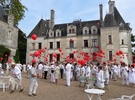 Château de la Mézière 45 €