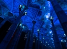 Dare an extraordinary evening €99