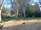 The Gardens of the Domaine de la Mayonnette €60