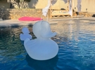 Lieu élégant au bord de la piscine avec vue panoramique à Ollioules €90