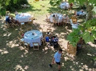 The Gardens of the Domaine de la Mayonnette €60