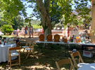 The Gardens of the Domaine de la Mayonnette €60