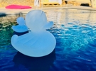 Lieu élégant au bord de la piscine avec vue panoramique à Ollioules €90