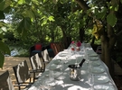 Location d'un jardin arboré 59 €
