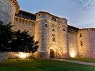 Castle in Mauriac €50