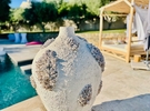 Lieu élégant au bord de la piscine avec vue panoramique à Ollioules €90