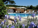 Large house with garden and pool on the blue coast €40