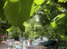 Location d'un jardin arboré 59 €