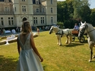 Château de la Rose - Rental reception rooms Indre (36) 1h from Bourges, Limoges, 2h30 from Paris €70